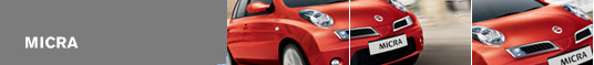 Micra
